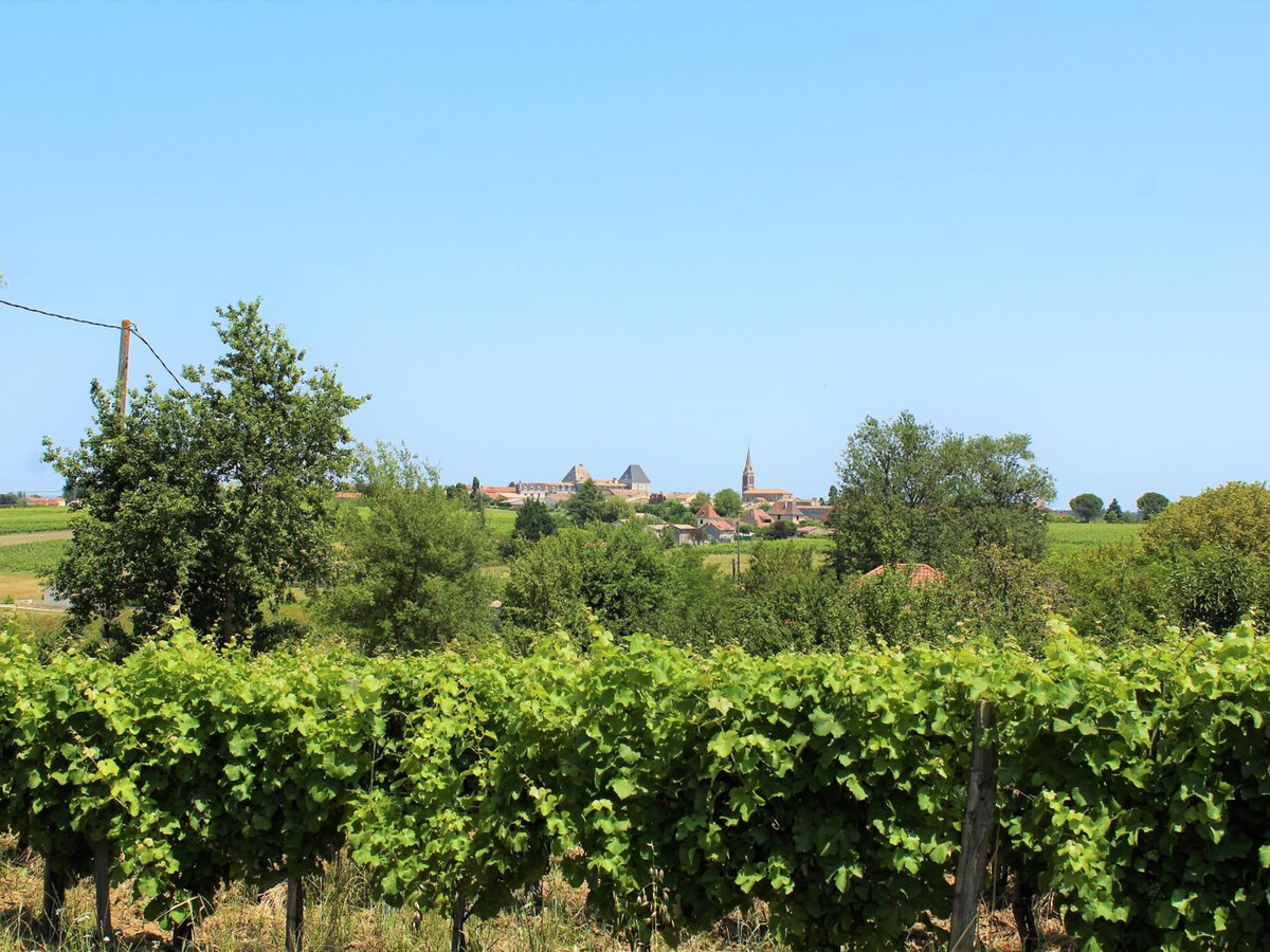 Gîte 13 personnes, piscine privée et vignobles à Saussignac - Photo 31