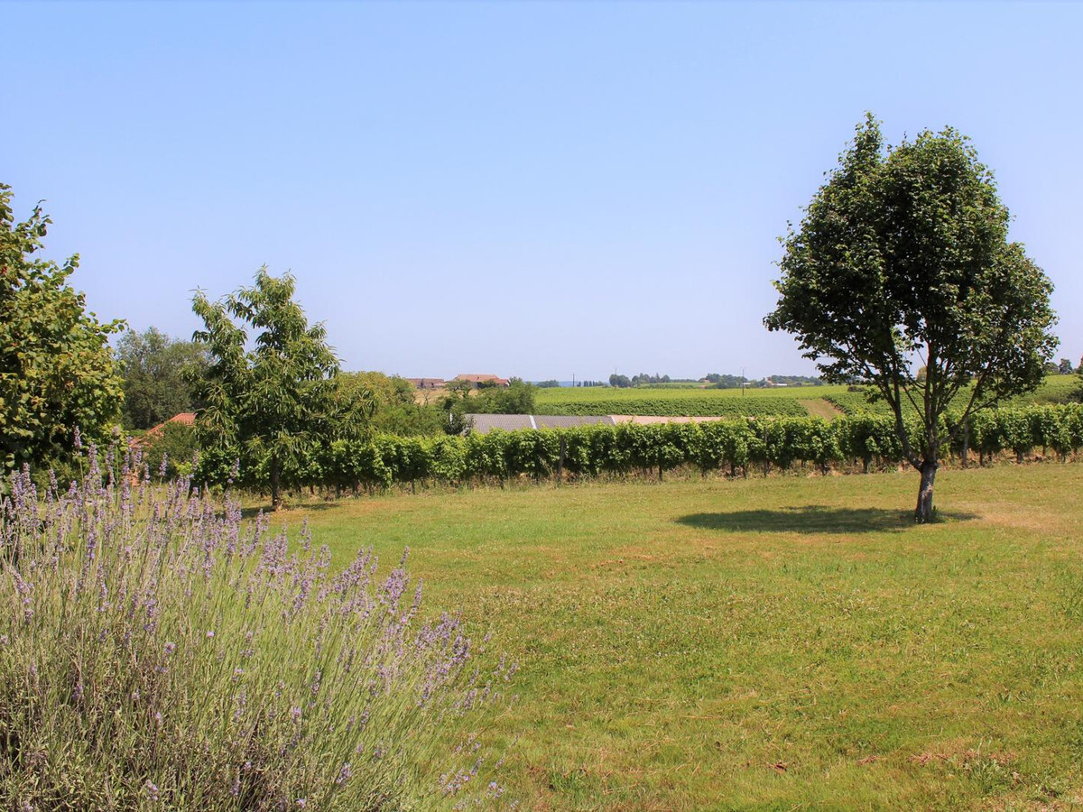 Gîte 13 personnes, piscine privée et vignobles à Saussignac - Photo 32