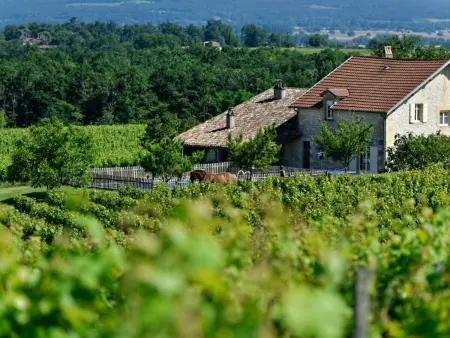 Gîte 13 personnes, piscine privée et vignobles à Saussignac : photo 2