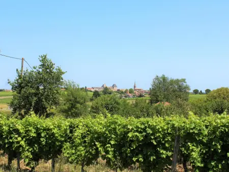 Gîte 13 personnes, piscine privée et vignobles à Saussignac : photo 31