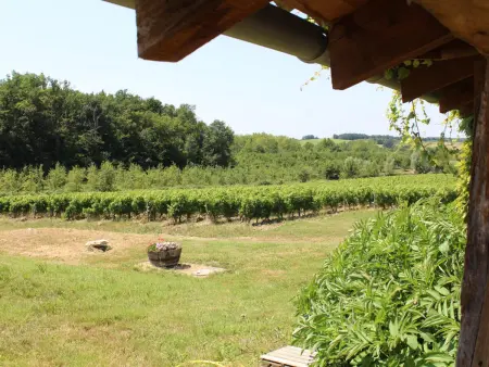 Gîte 13 personnes, piscine privée et vignobles à Saussignac : photo 33