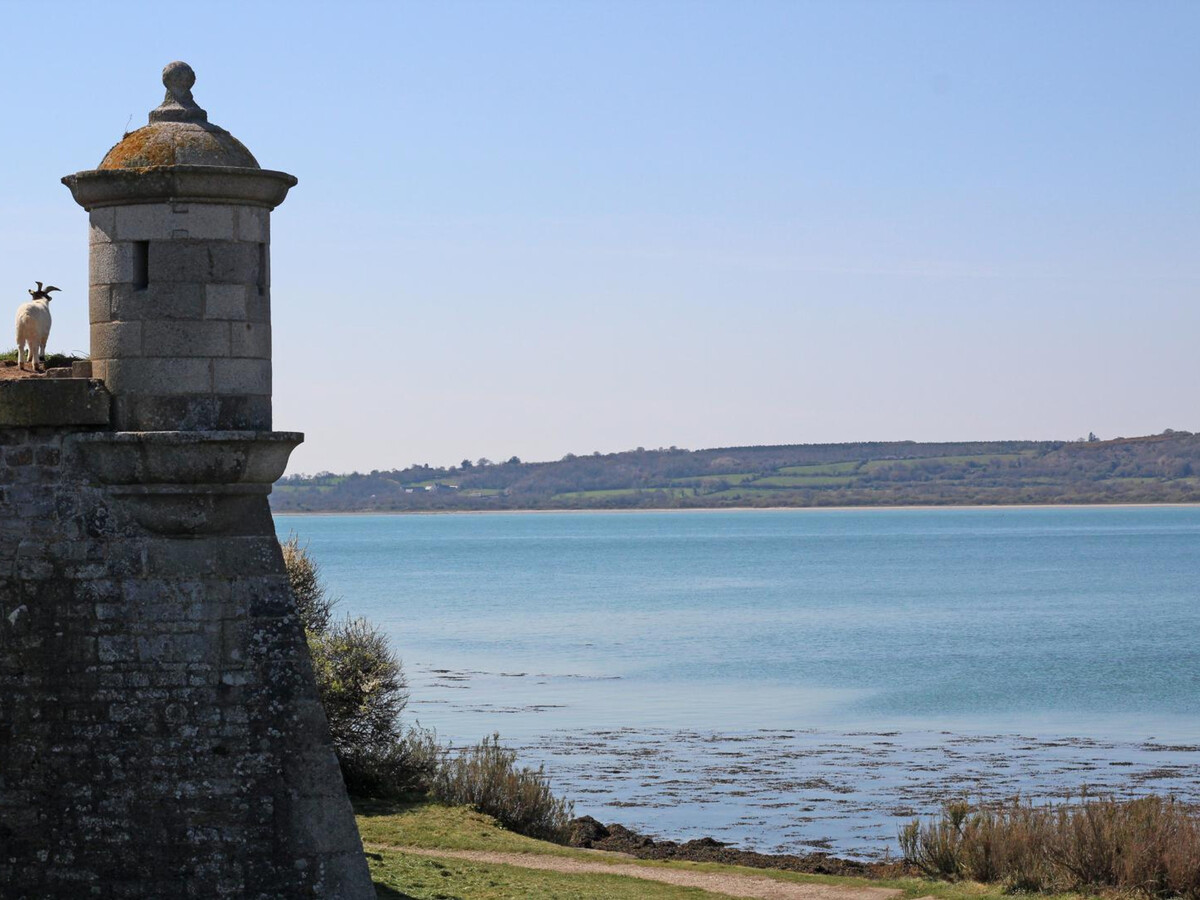 Gîte moderne 4 pers. à Saint-Vaast-la-Hougue - Photo 18