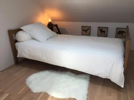 Gîte rénové 4 pers. entre Fontainebleau et forêt d'Orléans : photo 8