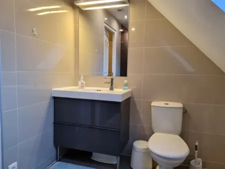 Gîte rénové 4 pers. entre Fontainebleau et forêt d'Orléans : photo 10