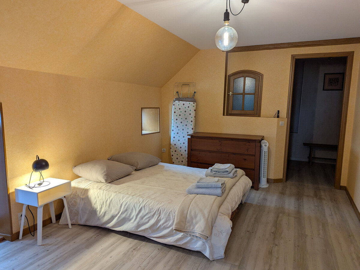 Maison Loire avec vue château de Sully - Photo 13