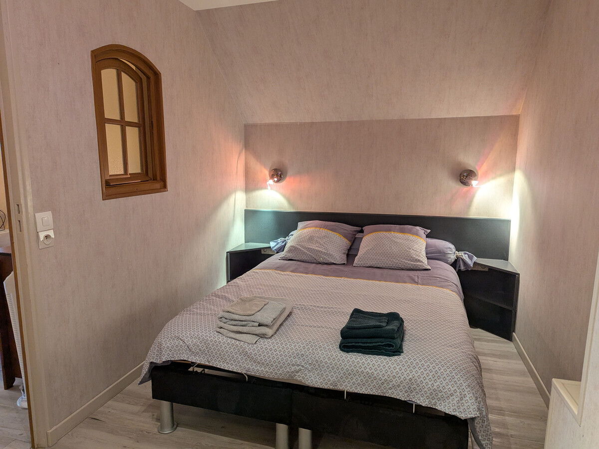 Maison Loire avec vue château de Sully - Photo 17