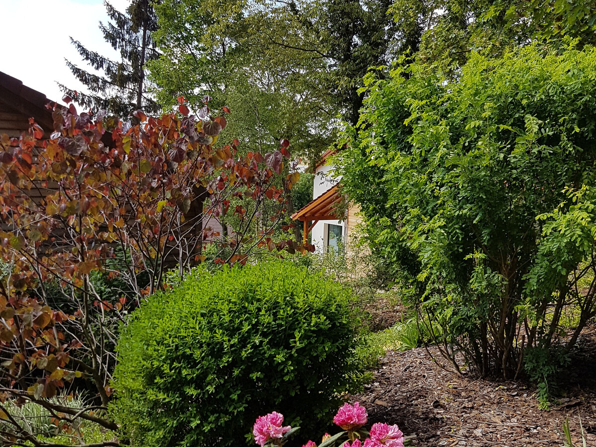 Gîte éco-construit avec spa, 6 personnes, Voinémont - Photo 23