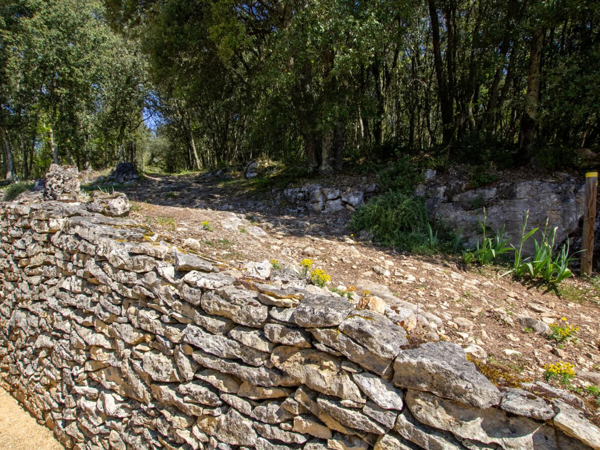 Gîte 5 personnes à 2 km de La Roque-Gageac - Photo 25