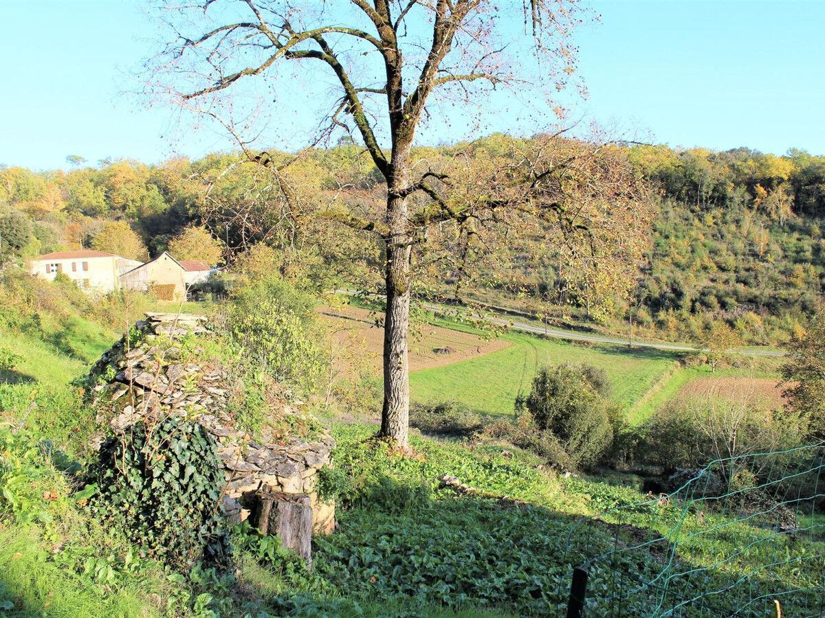 Gîte plain-pied La Roque-Gageac, 2 pers., terrasse - Photo 14