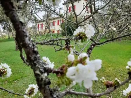 Maison spacieuse avec piscine privée et internet à Villamblard - Photo 20