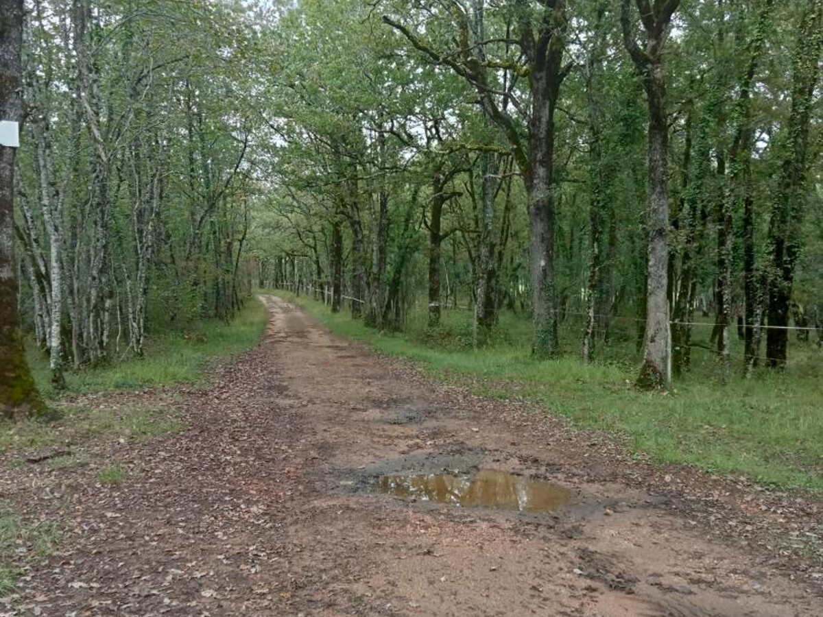 Gite 5 pers. rénové, 1000 m² de jardin arboré - Photo 17