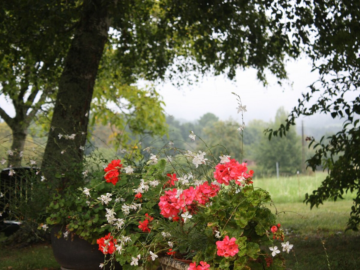 Gîte en pierre Périgord Noir, 5 pers., jardin 2000m² - Photo 15
