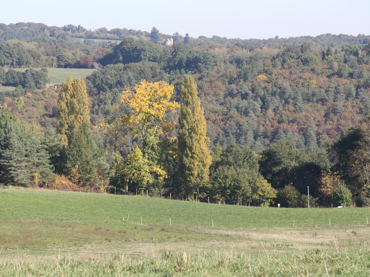Gîte en pierre Périgord Noir, 5 pers., jardin 2000m² - Photo 19