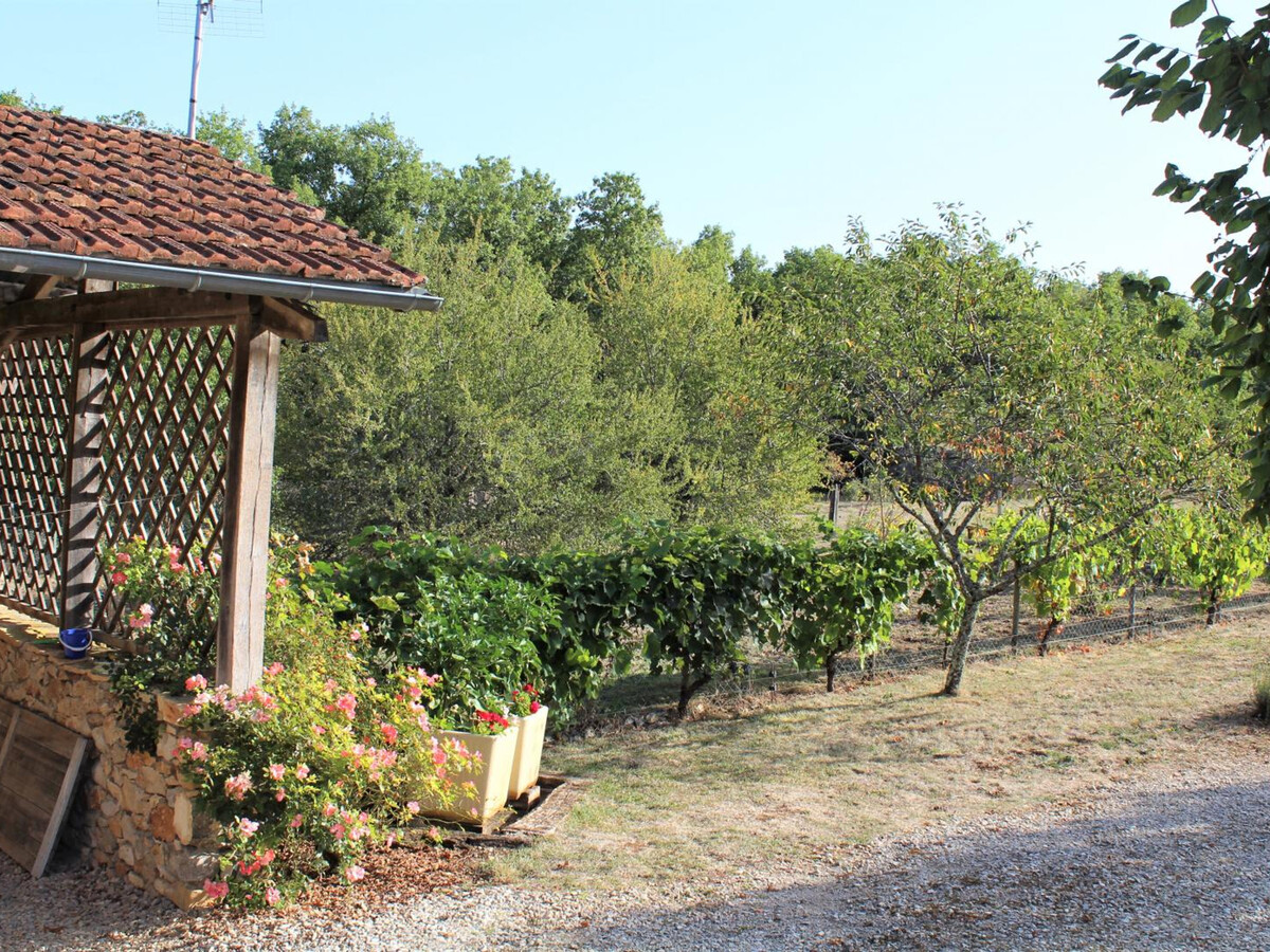 Gîte 3 chambres avec terrain près de Thenon - Photo 14