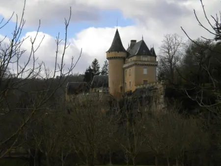 Gîte 4 chambres à 1 km de Lascaux 4, Montignac : photo 21
