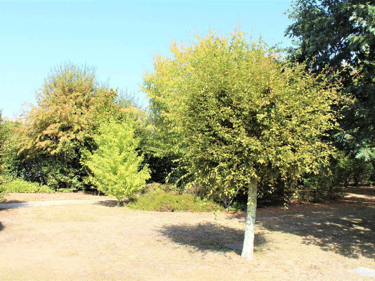 Gîte mitoyenne XIXe avec piscine et 1,5 ha à Pazayac - Photo 16