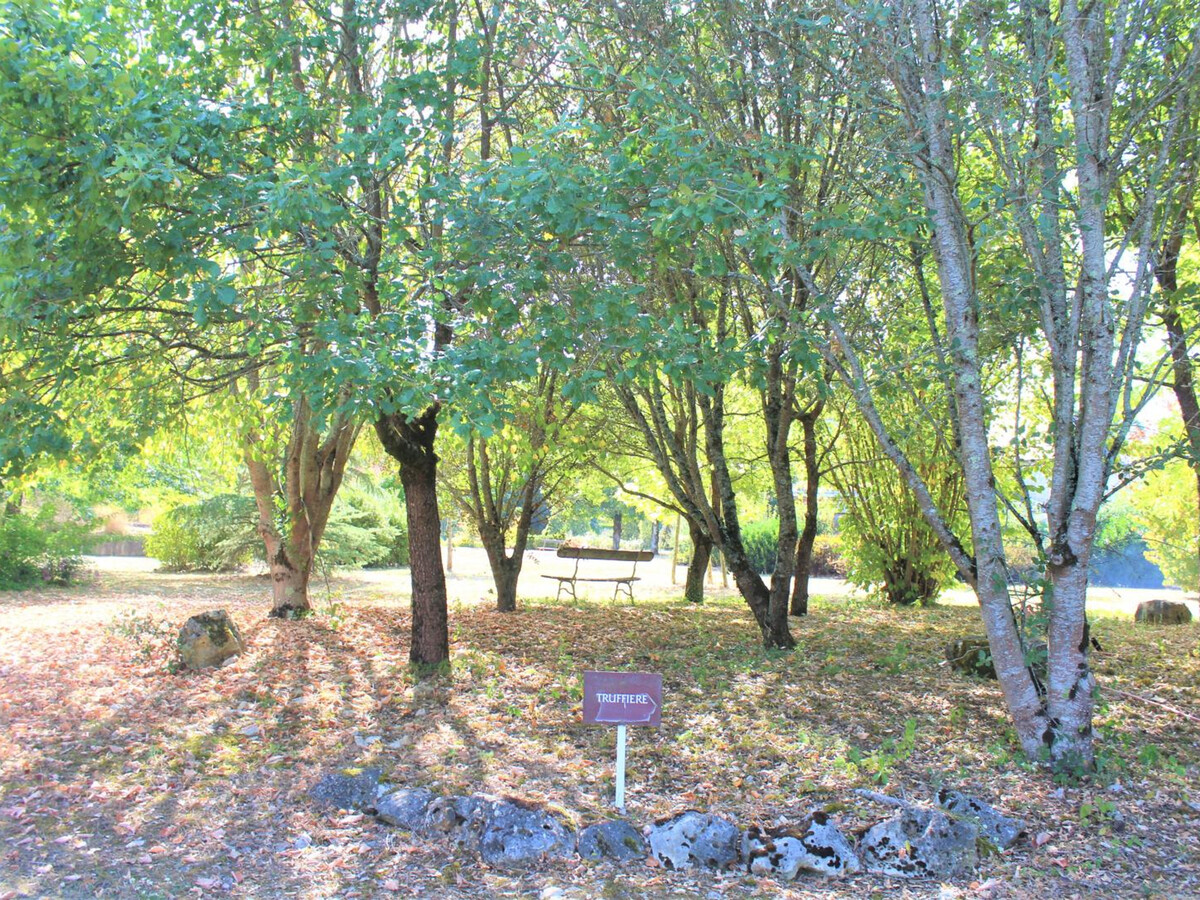 Gîte mitoyenne XIXe avec piscine et 1,5 ha à Pazayac - Photo 20
