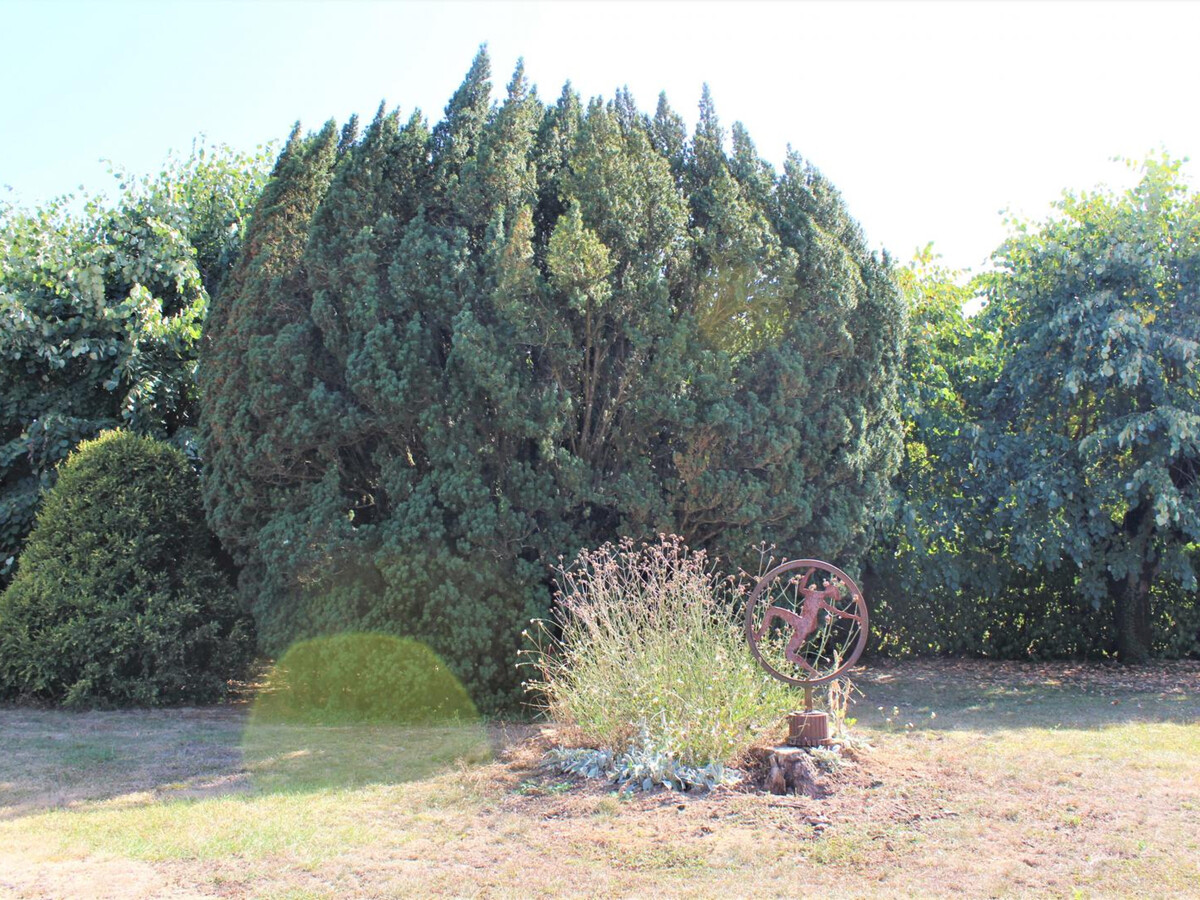 Gîte mitoyenne XIXe avec piscine et 1,5 ha à Pazayac - Photo 22