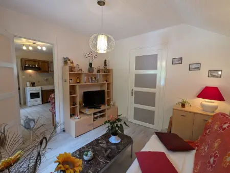 Gîte fonctionnel avec terrasse et vue, Gérardmer - Photo 12