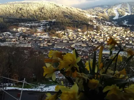 Gîte fonctionnel avec terrasse et vue, Gérardmer - Photo 34