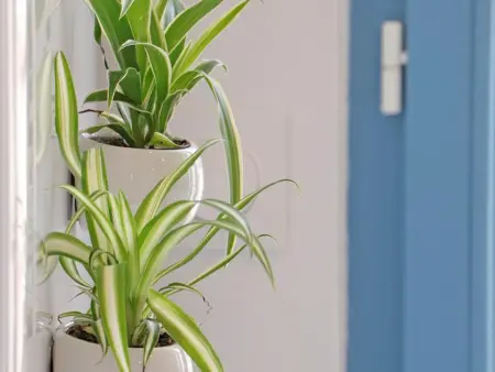 Maison lumineuse au cœur du Sap, jardin et jeux pour enfants - Photo 15