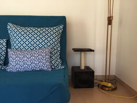 Maison neuve avec jardin, plage à 1.5km, animaux acceptés, équipements familiaux et sportifs - Photo 18