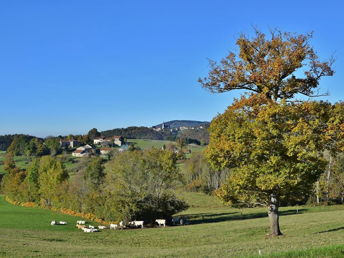 Gîte 14 pers dans ancienne école avec WiFi, animaux OK - Photo 14