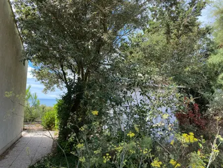 Maison vendéenne rénovée, accès direct plage à Longeville : photo 23