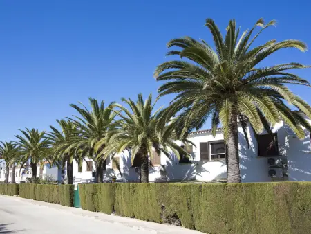 El Palmar, Location Maison 5 personnes à Dénia - Photo 26