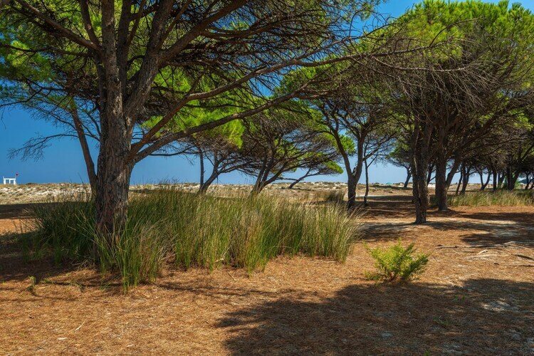 Maison 6 pers. à 250m de la plage de Budoni - Photo 23