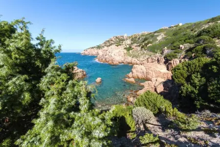 Maison 4 pièces Costa Paradiso, jardin méditerranéen : photo 20