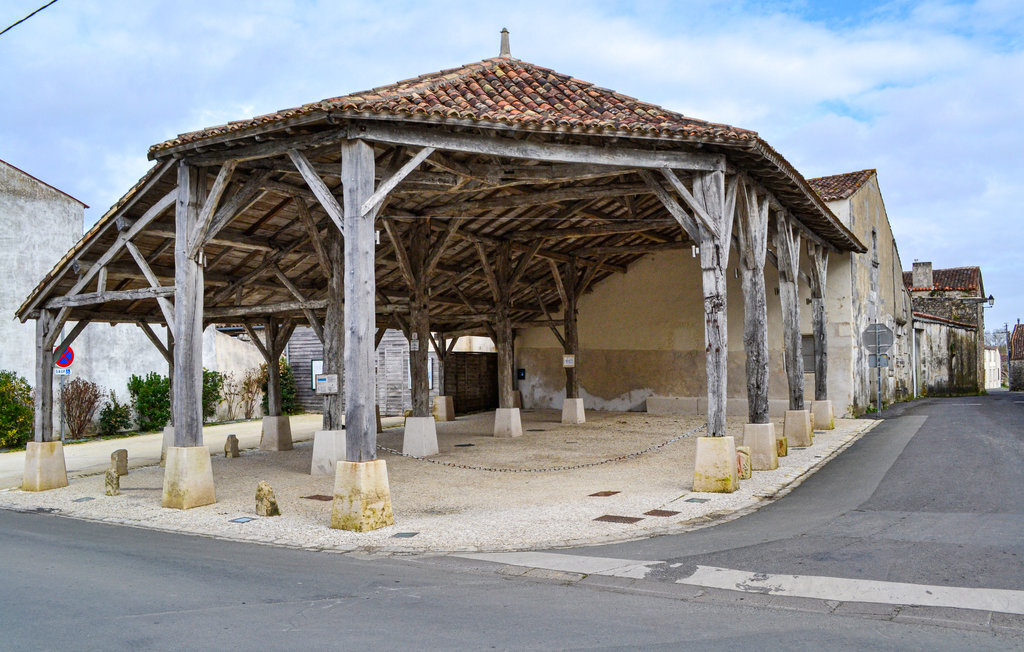 Maison médiévale de 1042 à Saint-Jean-d'Angle - Photo 24