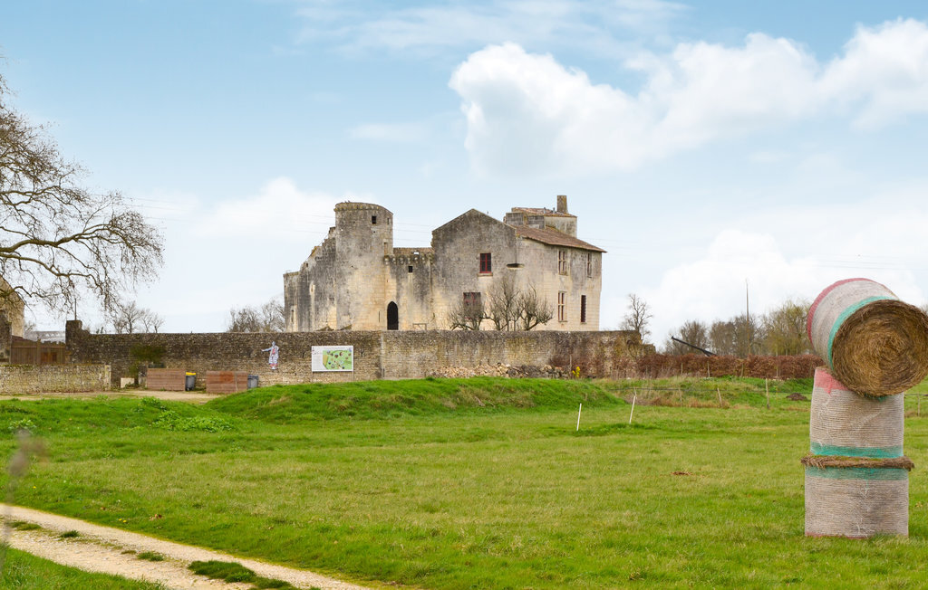 Maison médiévale de 1042 à Saint-Jean-d'Angle - Photo 25