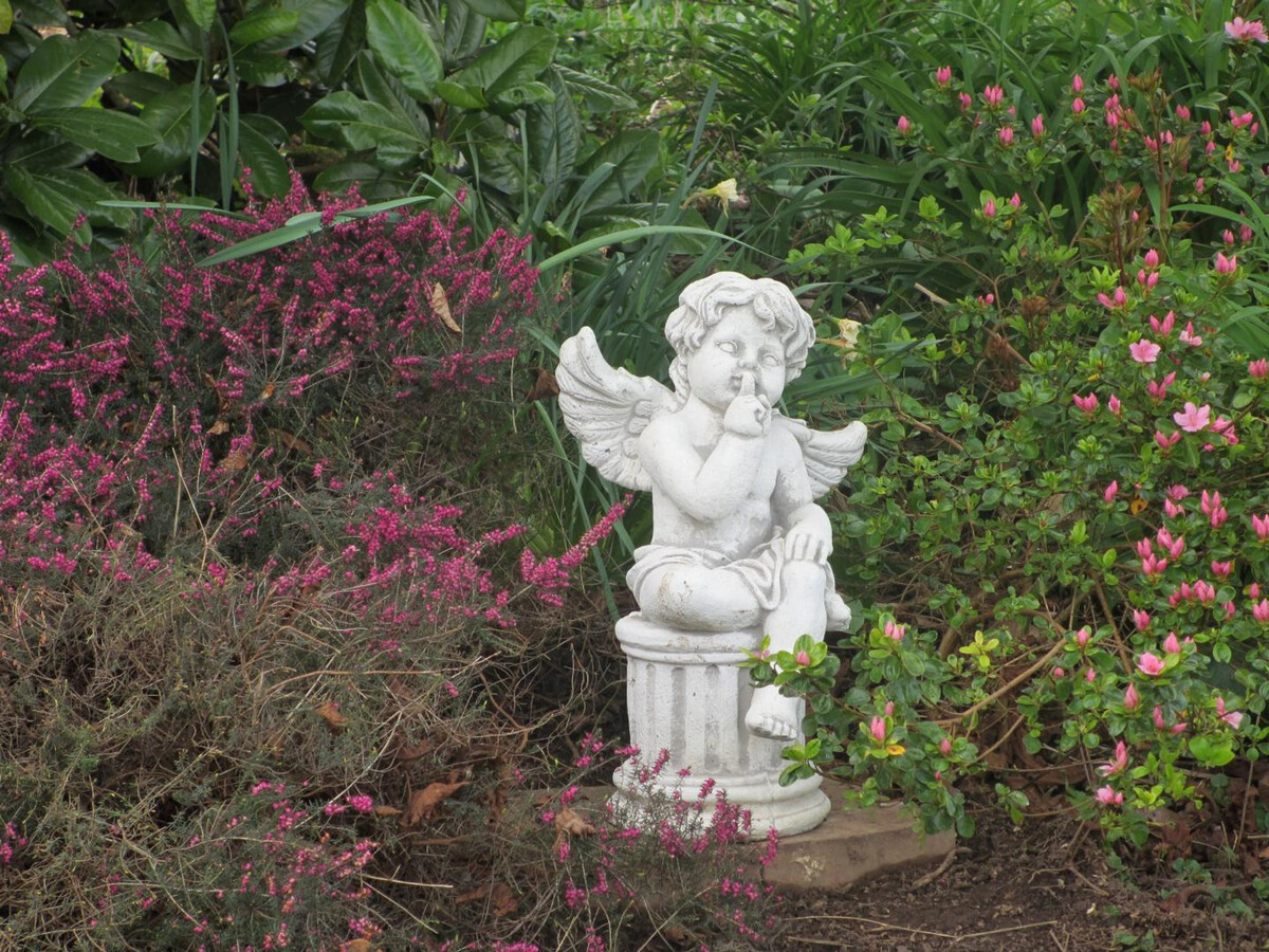 Maison en pierre rénovée avec jardin paysager à Villedieu - Photo 10