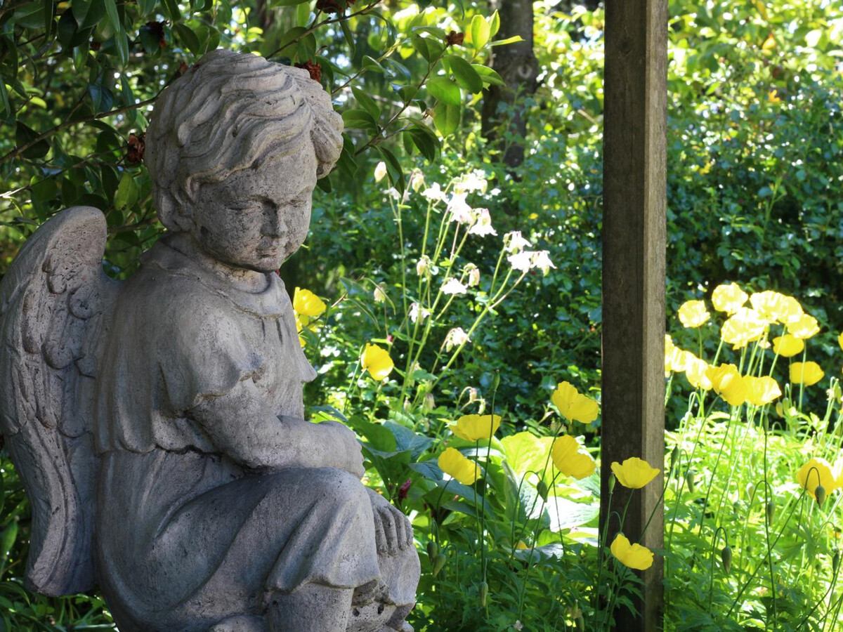 Maison en pierre rénovée avec jardin paysager à Villedieu - Photo 20