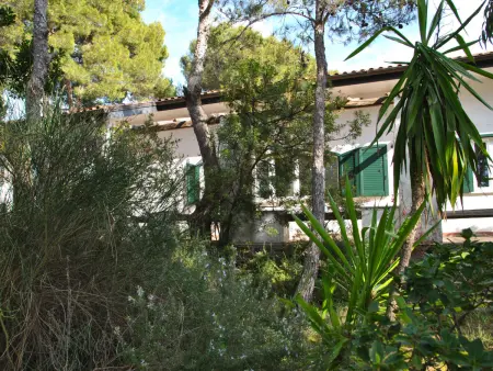 Corbezzolo, Villa 6 personnes à Sperlonga - Photo 24