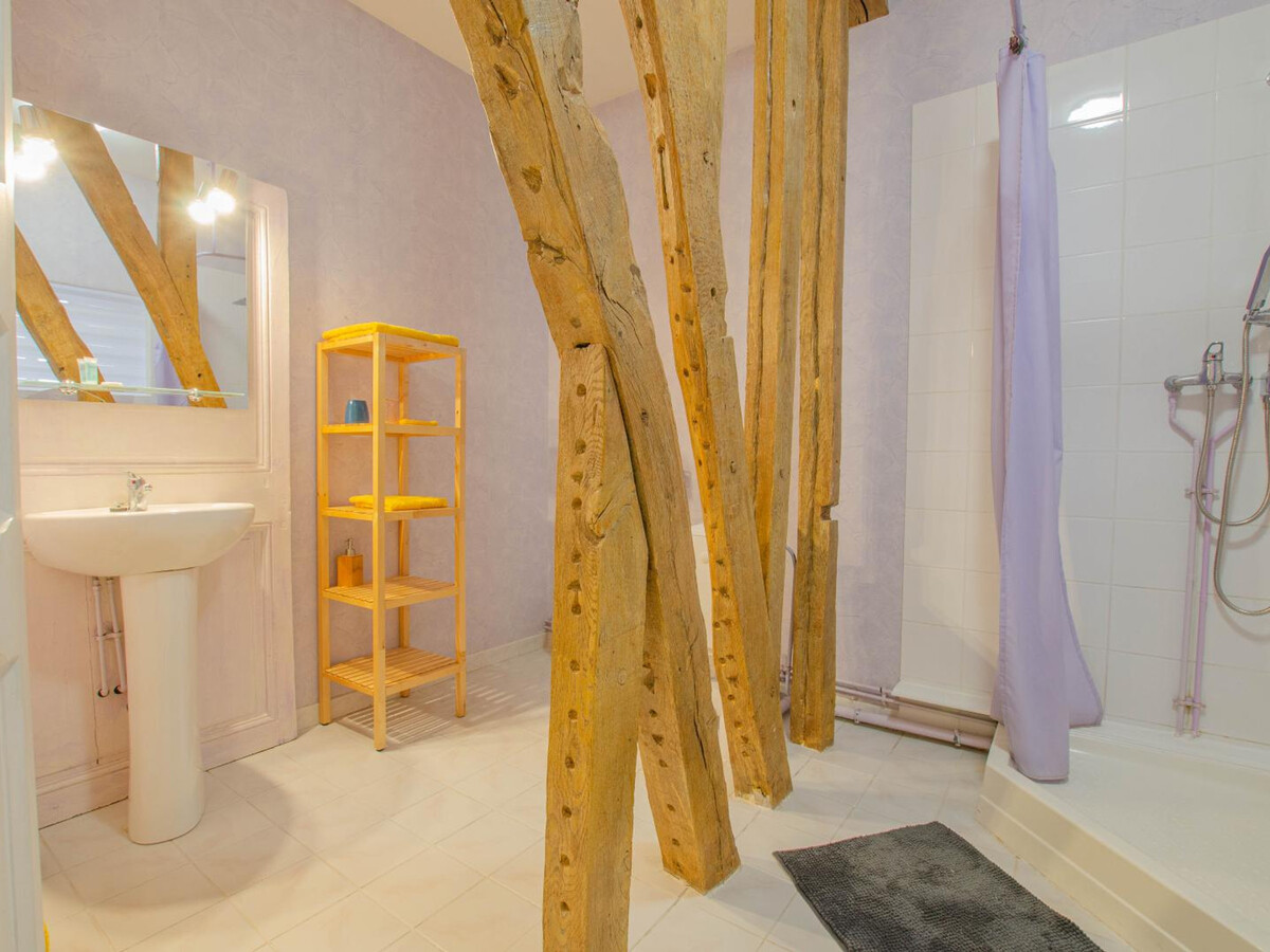 Maison en pierres 3 chambres, jardin clos à Villenauxe-la-Grande - Photo 16
