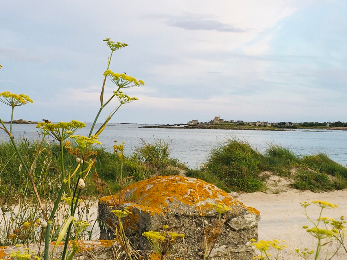 Gîte bord de mer avec accès direct plage à Gatteville - Photo 32