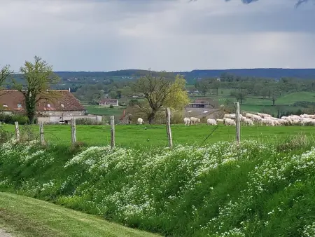 Gîte 12 personnes en grange pierre à Blomard, piscine chauffée : photo 32