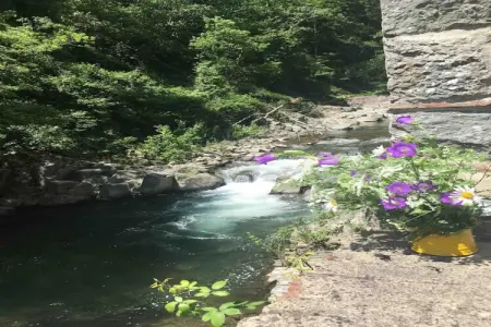 Mulino Pescia - Maison au moulin pour 10 personnes : photo 30