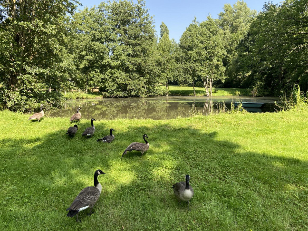 Gîte 6 pers. avec étang privé à Senlisse, parc 2 ha - Photo 32
