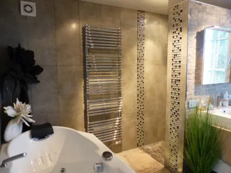 Gîte des Brières : piscine chauffée et spa à Toulon-sur-Allier : photo 5