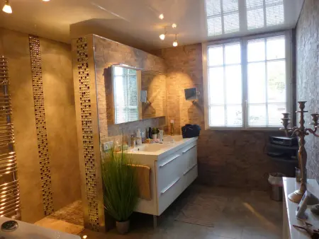 Gîte des Brières : piscine chauffée et spa à Toulon-sur-Allier : photo 11