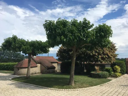 Gîte des Brières : piscine chauffée et spa à Toulon-sur-Allier : photo 18