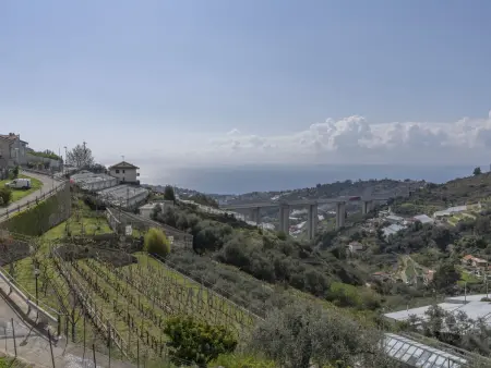 Casetta in collina, Location Villa 4 personnes à Sanremo - Photo 28