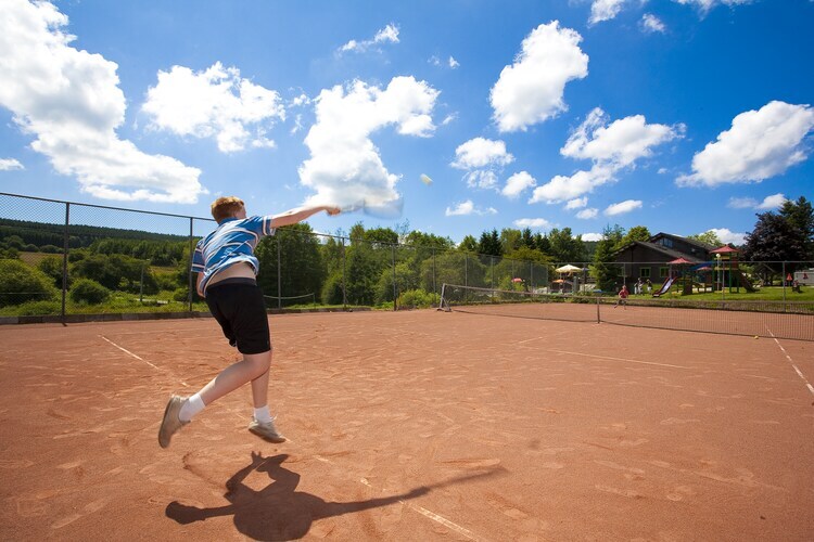 Chalet 6 pers. avec piscine chauffée à Dochamps - Photo 7
