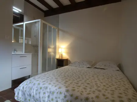 Grande maison conviviale, accès internet, animaux acceptés - Photo 10