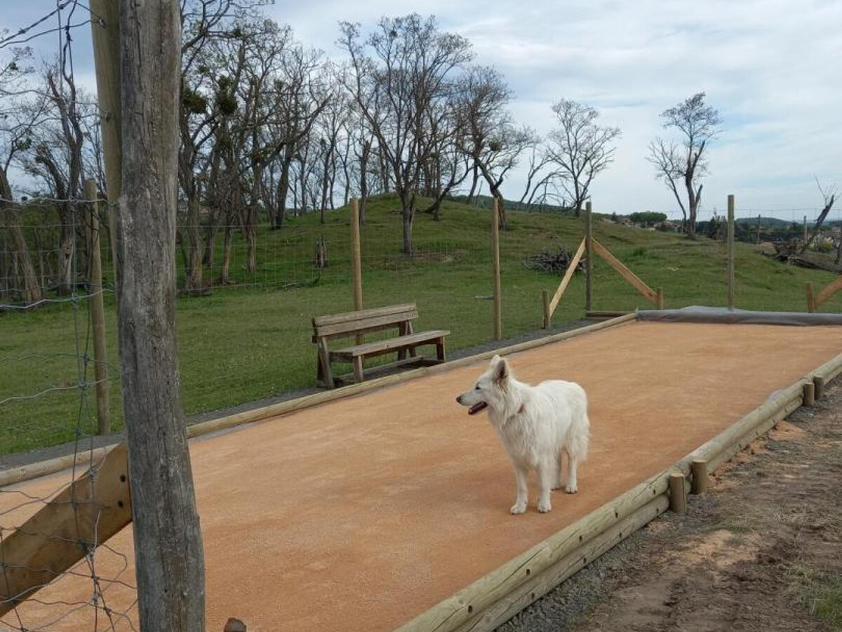 Gîte La Tuilière : 6 pers, étang privé et jardin 1500m² - Photo 32