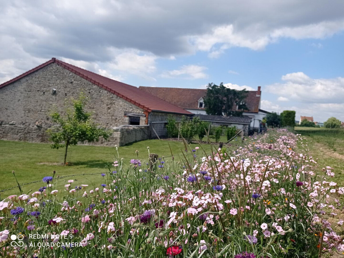 Gîte ancienne ferme rénovée, 6 pers., terrasse et jardin - Photo 25