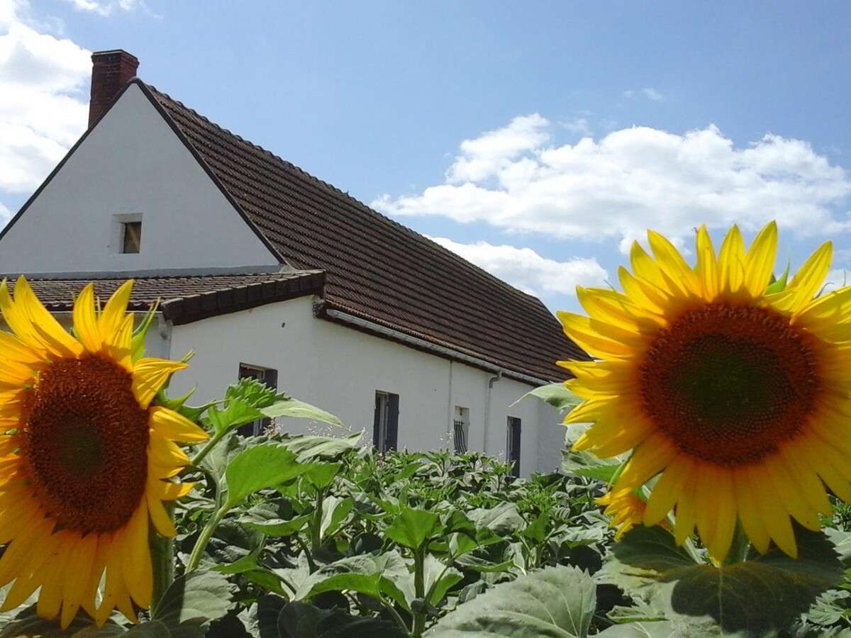 Gîte ancienne ferme rénovée, 6 pers., terrasse et jardin - Photo 26